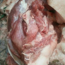 猪肉生肉