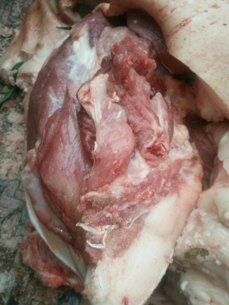 猪肉生肉