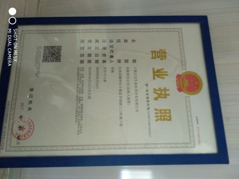 农家小作坊手工腐竹