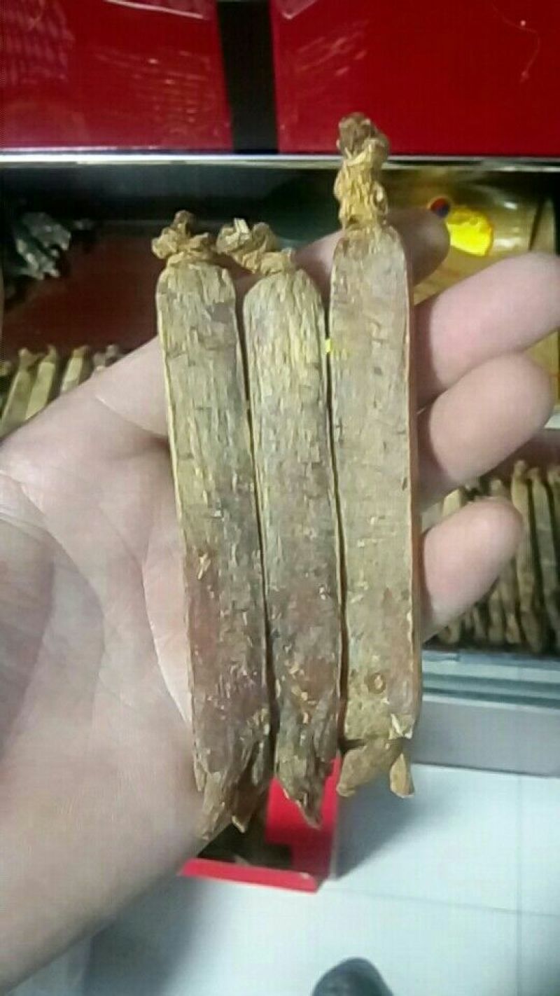 高丽参