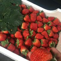 奶油草莓30~40克