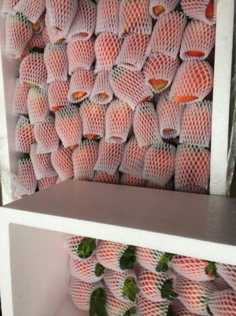 奶油草莓30~40克