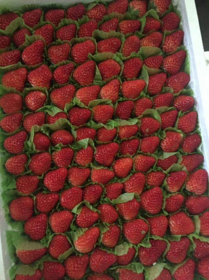 奶油草莓30~40克