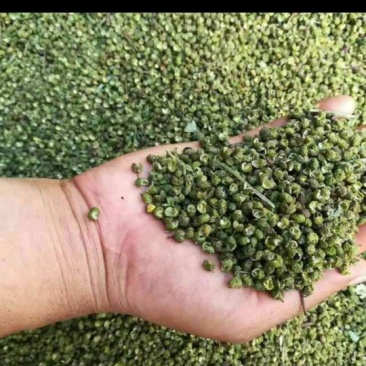云南九叶青花椒，麻椒特级干