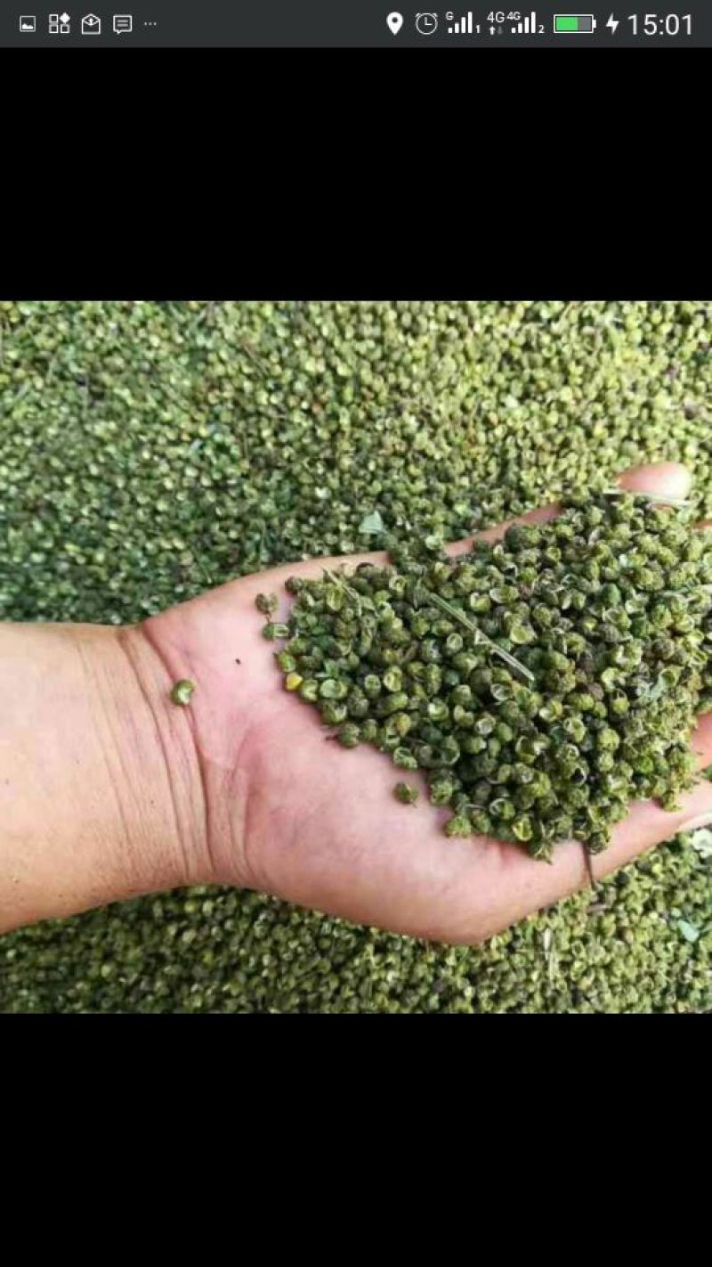 云南九叶青花椒，麻椒特级干