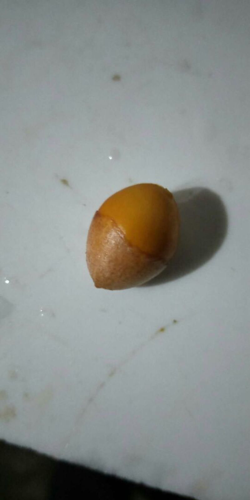 银杏果新鲜银杏米包邮价