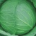 扁包菜1到2公斤，京丰一号，质量好，价格优