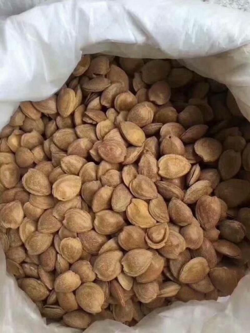 杏仁一级
