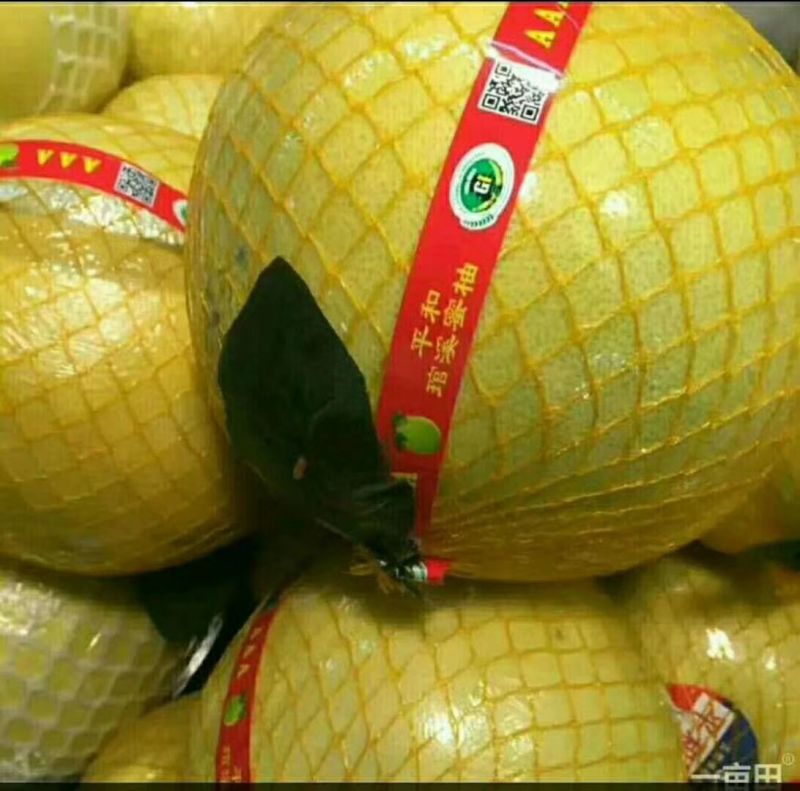 灌溪蜜柚自产自销看货采摘，保质保量诚信经营