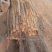 九斤黄山药3~4厘米特级通货70~90厘米