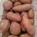 红薯山窖藏货西瓜红，济薯26:密薯25货源充足质量保证全
