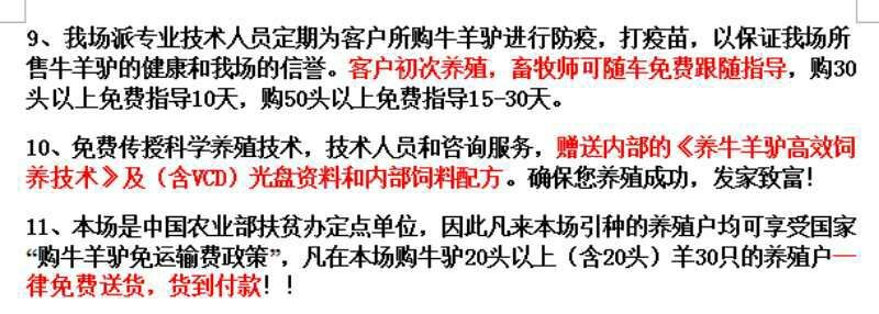 利木赞牛包3个月成活率