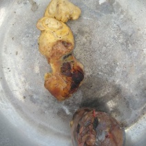 鸡宝