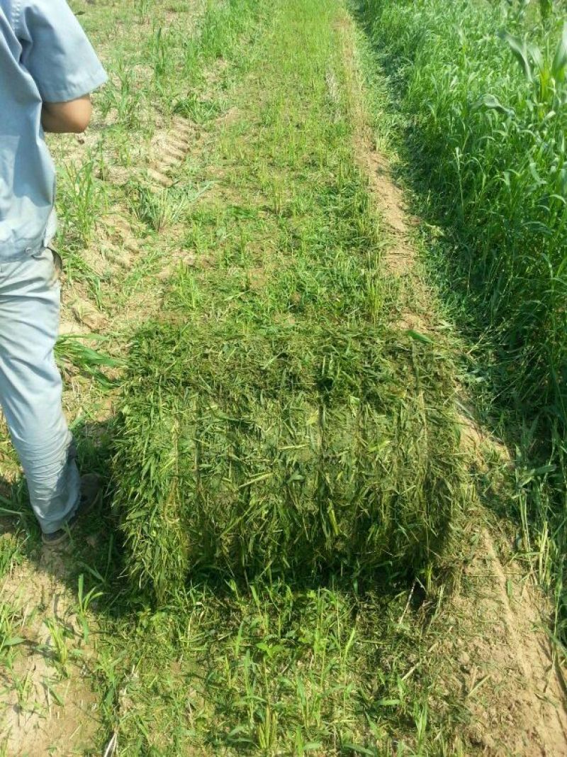 收获机侧挂式