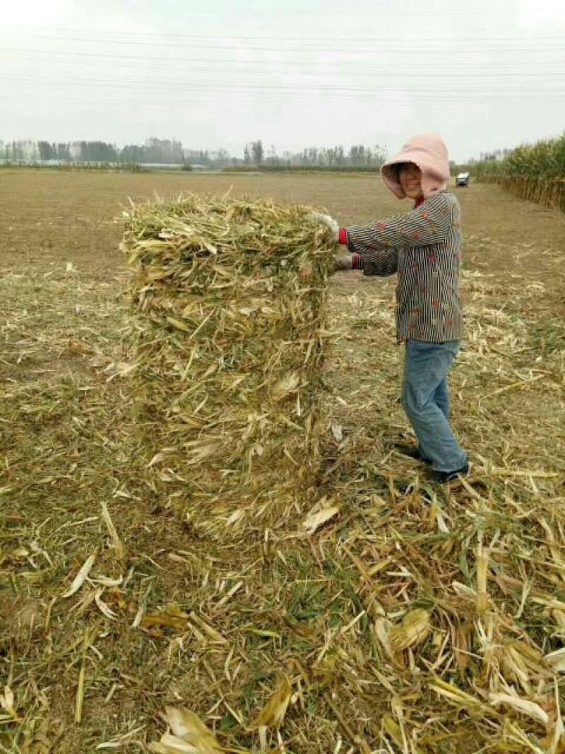 织草机