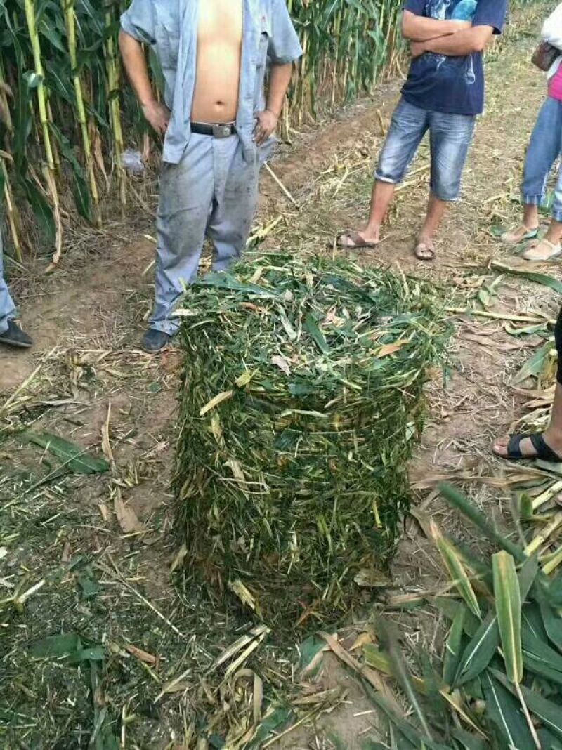 织草机