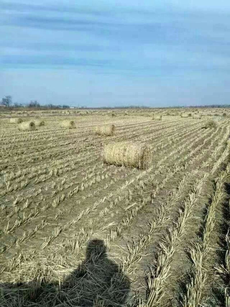 饲草裹包机