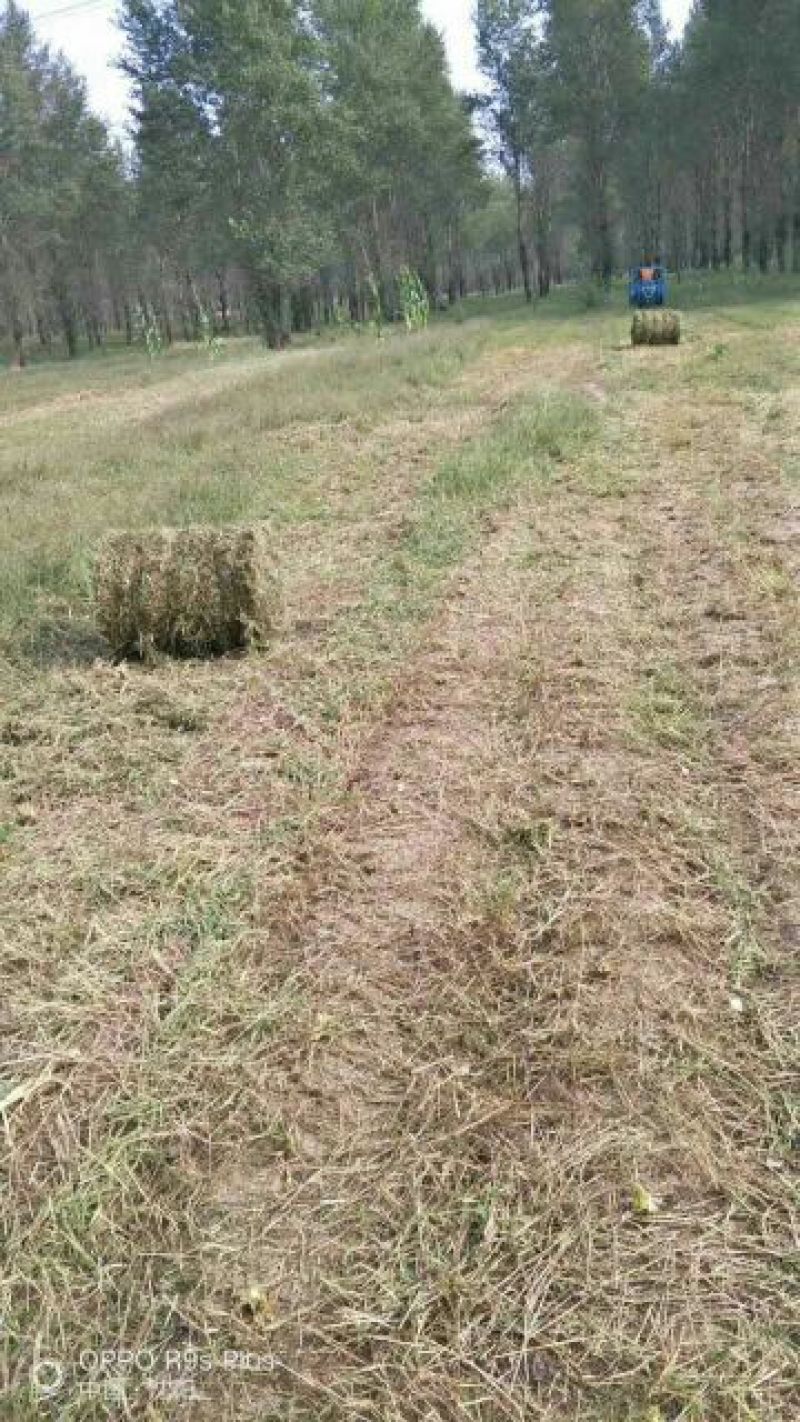 牧草收获机