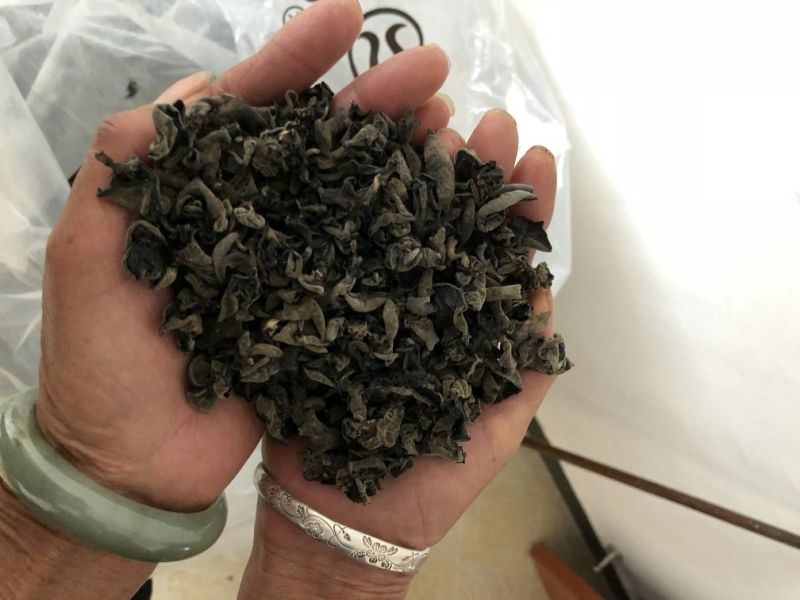 秋木耳一级