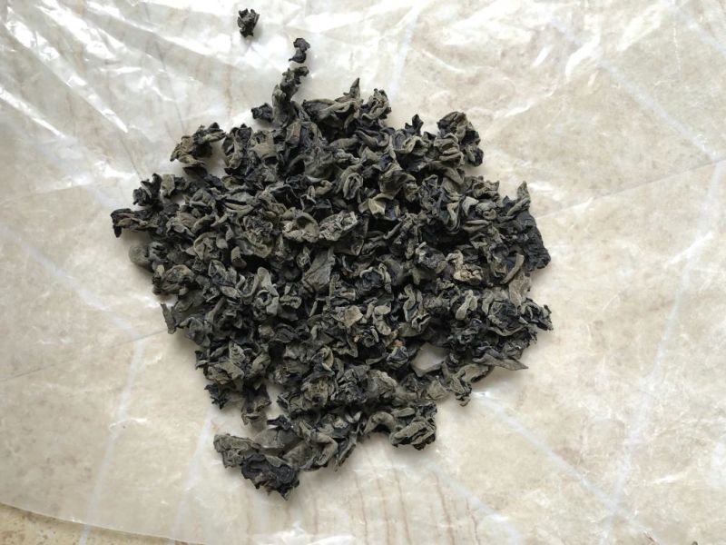 秋木耳一级