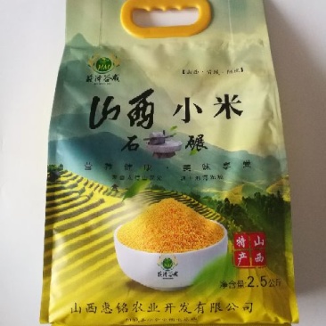小米山西小米特产农家孕妇