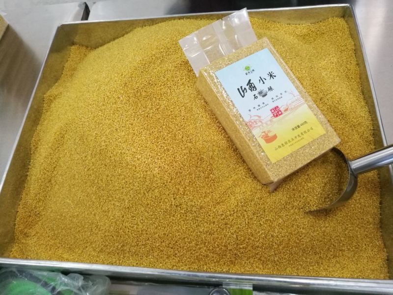 小米山西小米特产农家孕妇