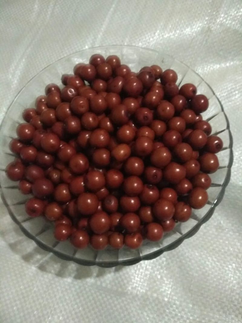 酸枣干枣通货