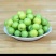 晚熟李子苗早熟三月李。包成活