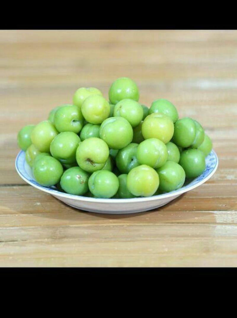 晚熟李子苗早熟三月李。包成活