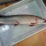 江鲤鱼食用2~3公斤