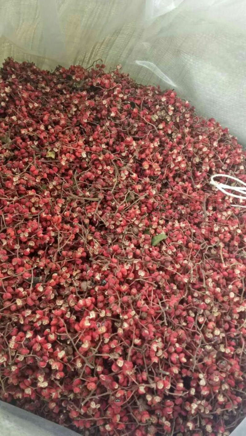 大红袍花椒特级干