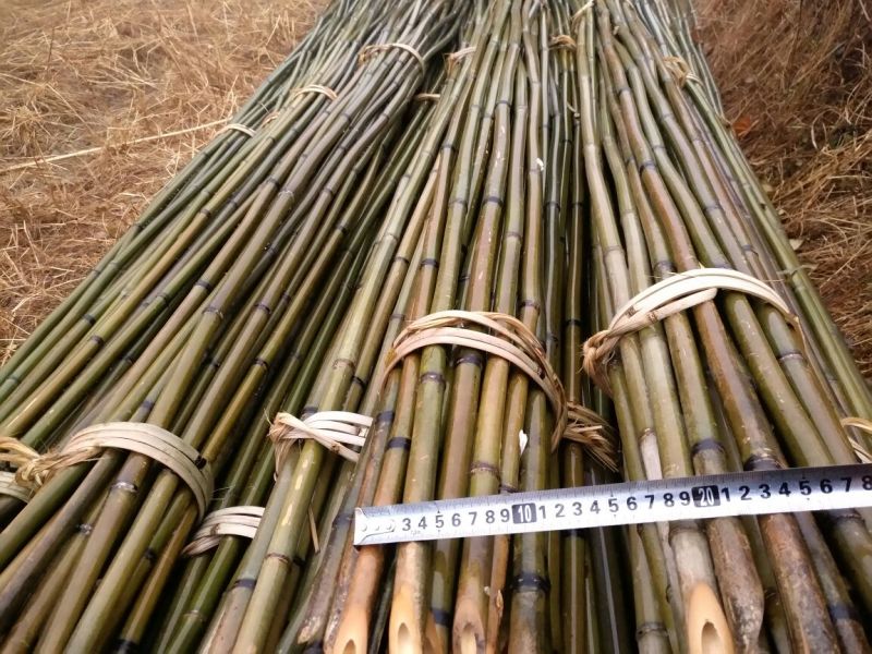 竹竿5.5米，六龙山大棚竹竿品质优良。