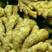 二黄姜种子亩产过万货源充足全国接单发货
