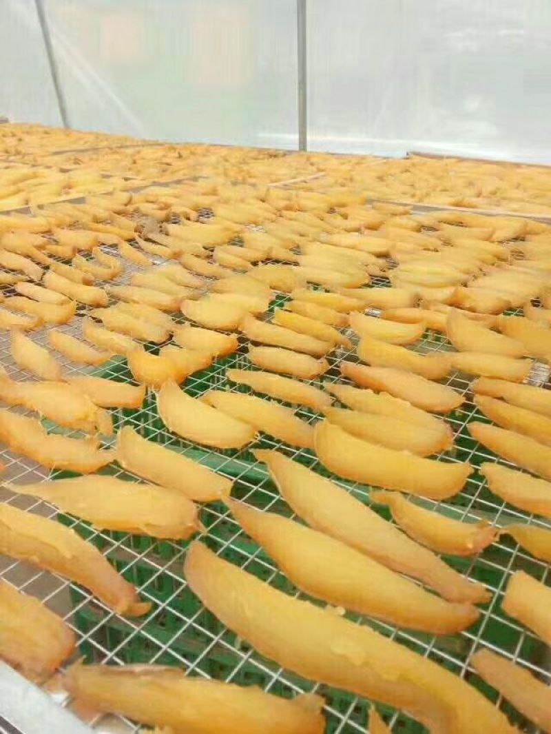 姜红薯干袋装片状1年
