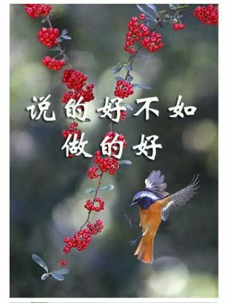 鲜椒酱