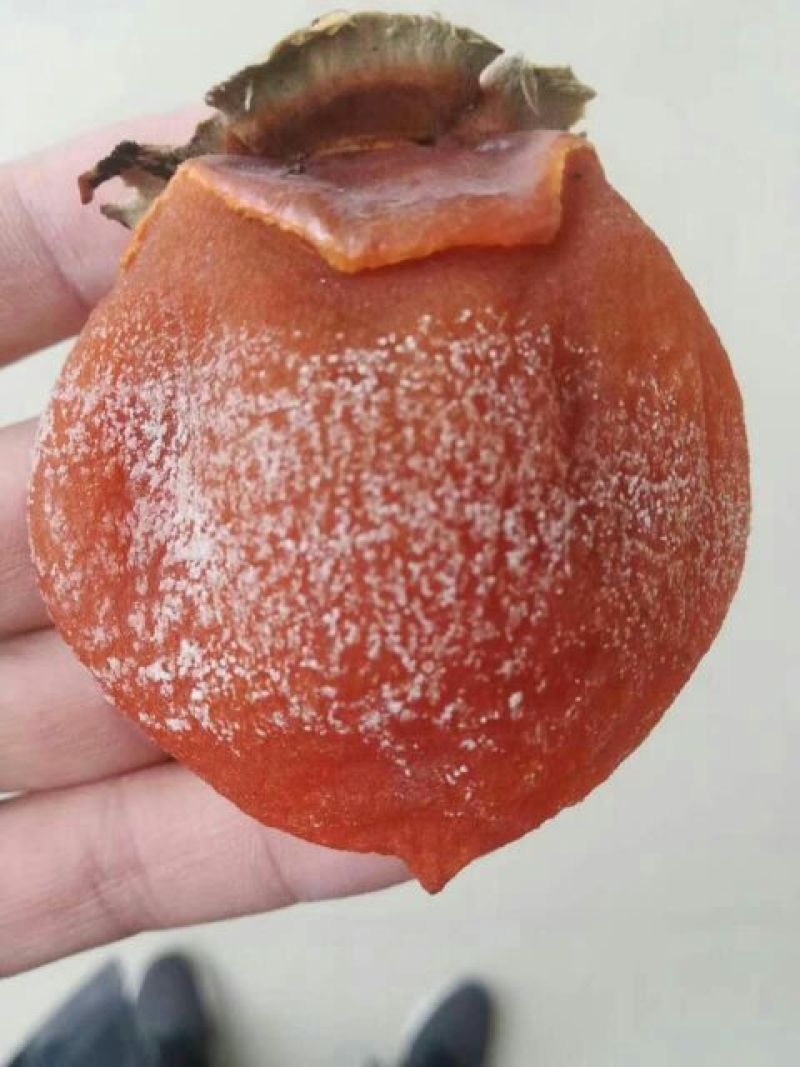 柿饼1两以下