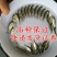 杂交鲫鱼鱼苗3~5公分