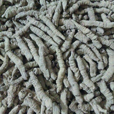 巴戟天抽心干货