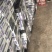 柿饼1两以下