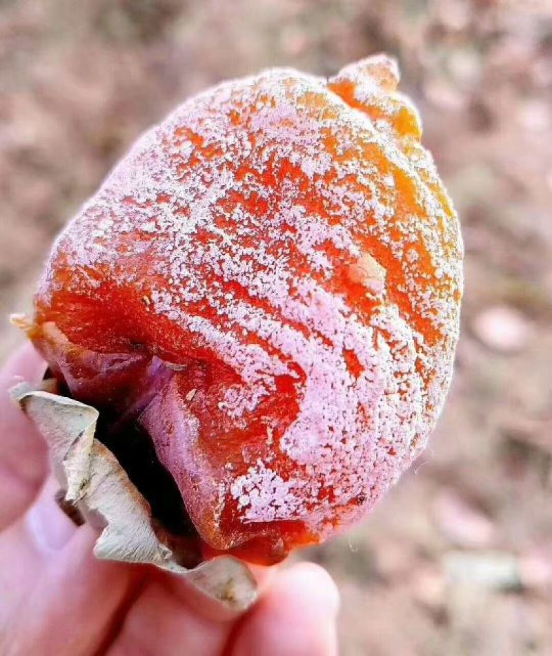 柿饼1两以下
