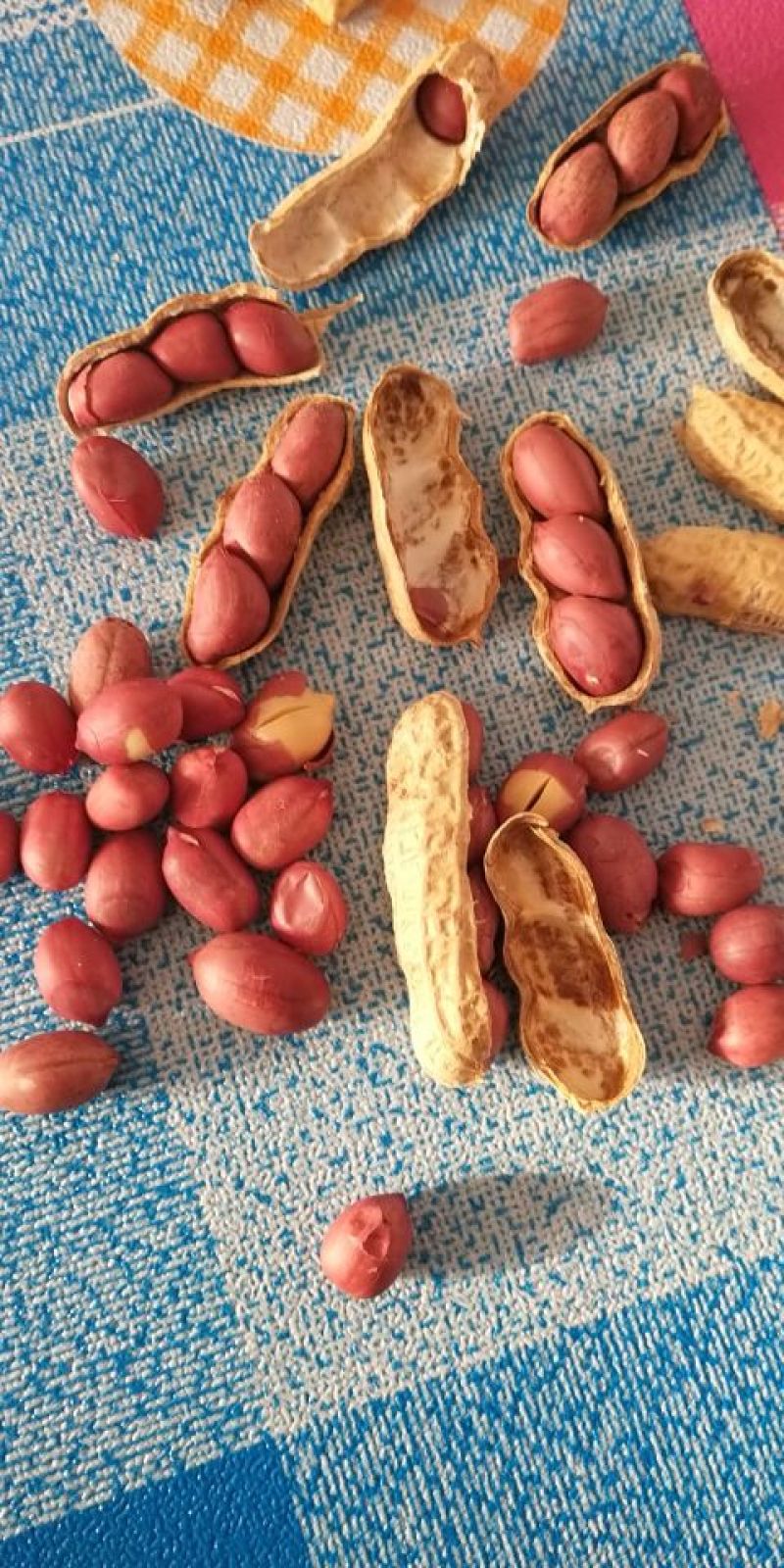 四粒红花生干货带壳