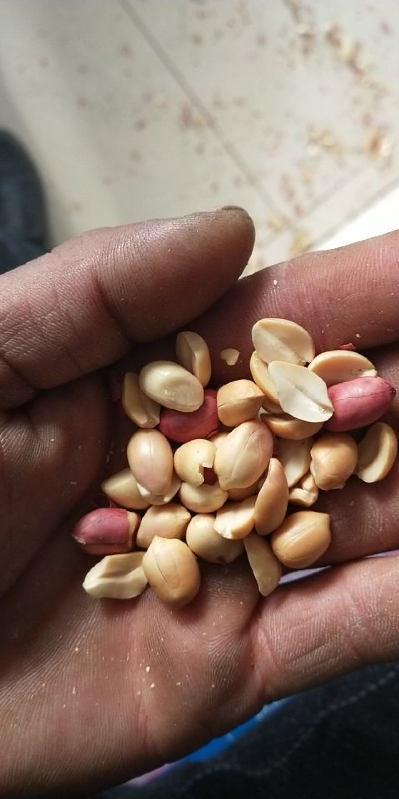 四粒红花生干货带壳