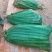 莴苣1~1.5斤50~60cm