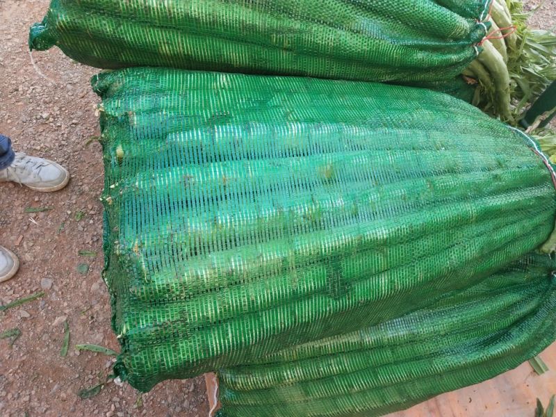 莴苣1~1.5斤50~60cm
