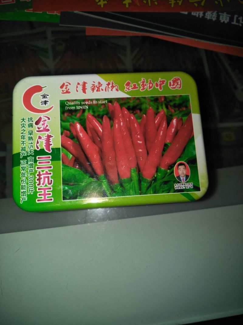 朝天椒种子97%以上