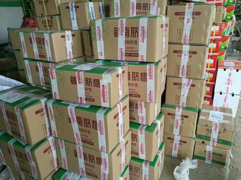 江西赣南寻乌脐橙，质量保证，一手货源一件代发，