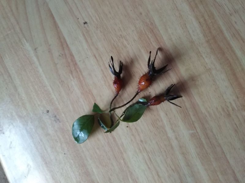 刺梨鲜
