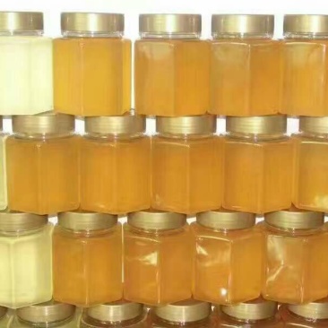 土蜂蜜（质量保证自己养土蜂蜜，品质决定一切）