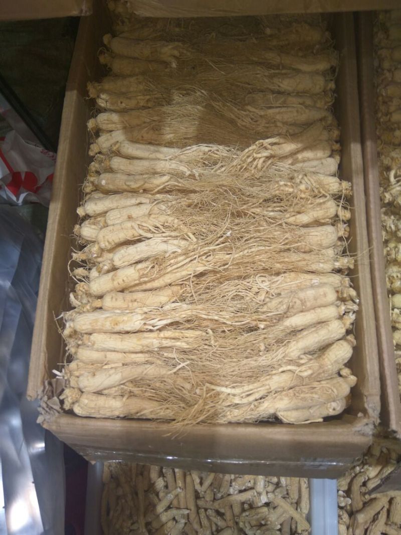 人参干