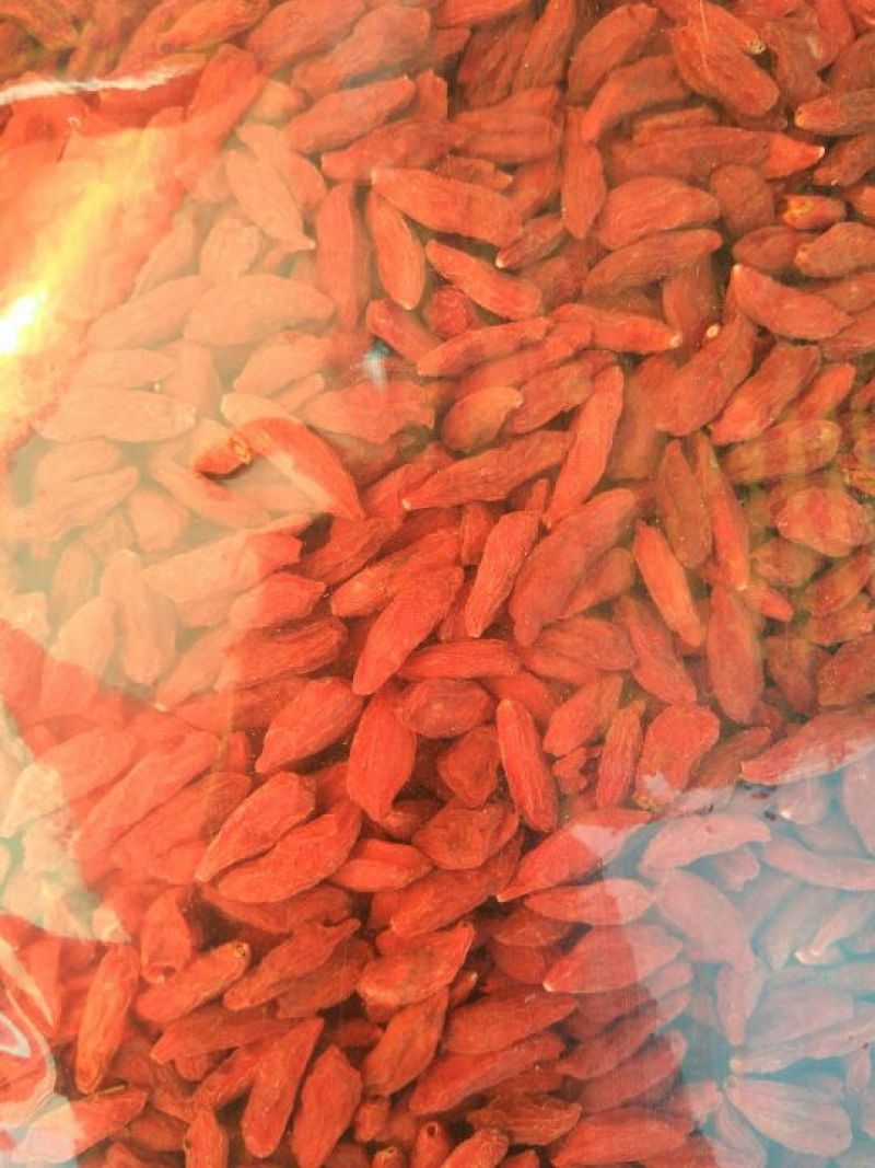 红枸杞干货头茬